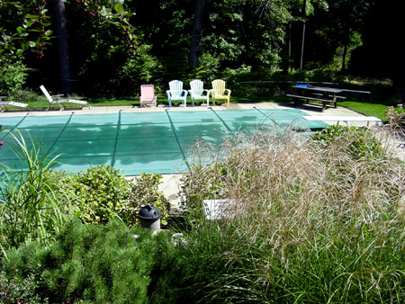 Inground Pool Opening